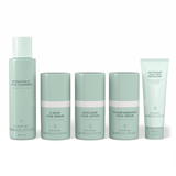 Skincare Management System Starter Normal/Combo DFP